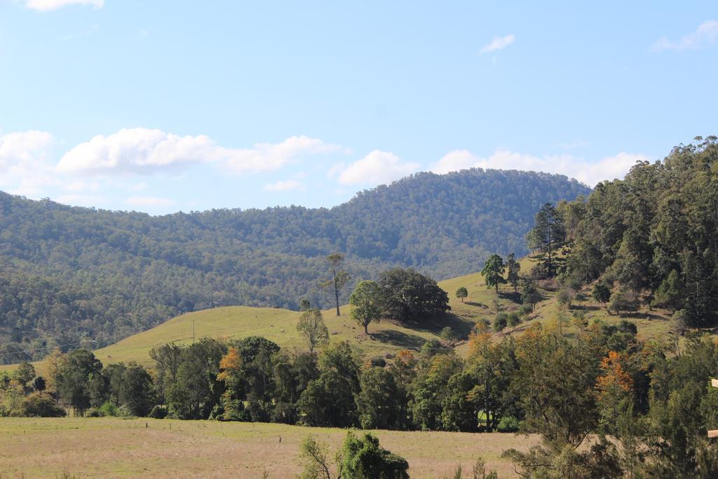 Greenlee Cottages Canungra Dış mekan fotoğraf