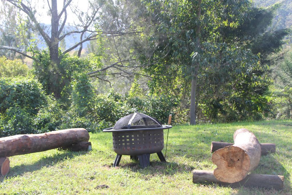 Greenlee Cottages Canungra Dış mekan fotoğraf